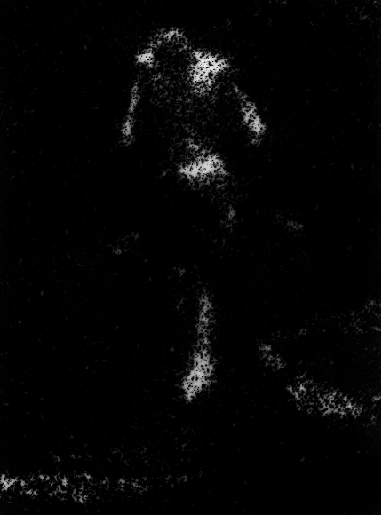 Photomicrograph196