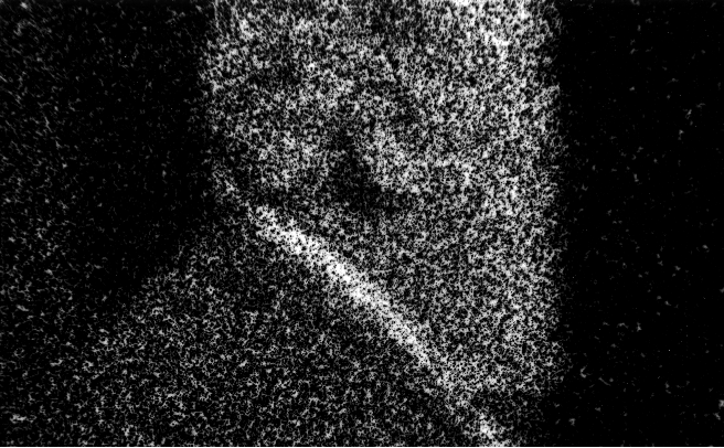 Photomicrograph78
