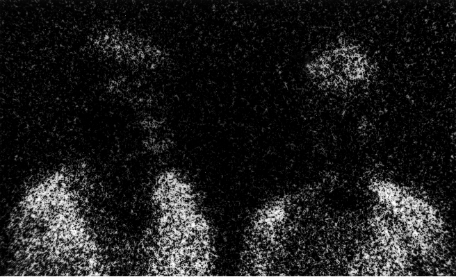 Photomicrograph80