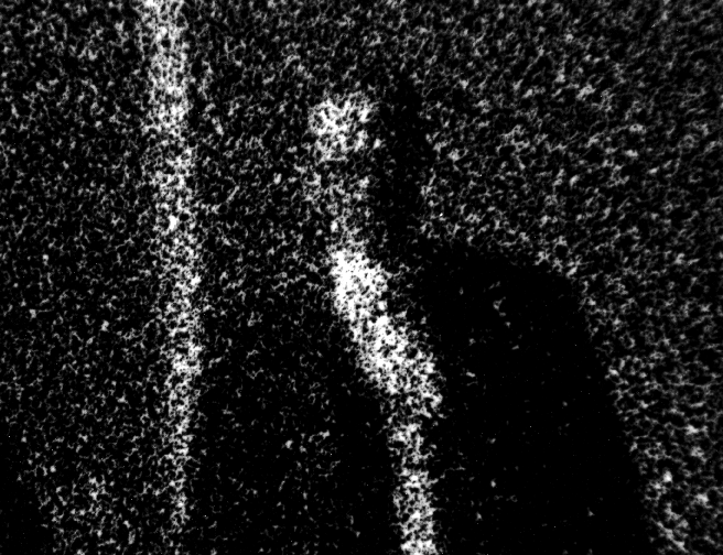 Photomicrograph84