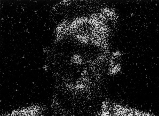 Photomicrograph88