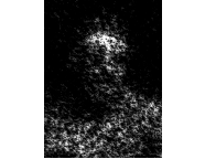 Micrograph