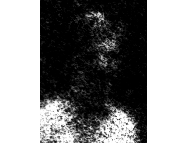Micrograph1