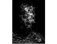 Micrograph2