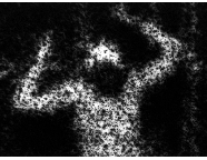 Micrograph3